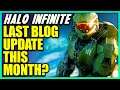 The Last Halo Infinite Update to Reveal Halo Infinite Customization, Progression and App! Halo News