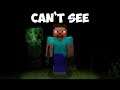 Can You Beat Minecraft if You Can't See Anything?
