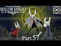 Hollow Knight #57 Der Schwarmritter und die Wasserwege