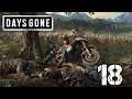 Lisa-Let's Play Days Gone Part 18