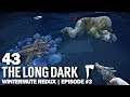 The Long Dark | Wintermute Episode 3 ❄ 043 ❄ Die Sasquatch Legende | Deutsch
