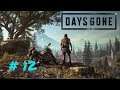 Days Gone | Capítulo 12 | Una puta zona de Guerra | GamePlay Español