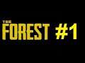 Jugando The Forest - Un Jugador - #1 - El Inicio de la Supervivencia