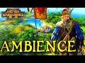 Warhammer 2 Ambience/ASMR:  Markus Wulfhart, the Huntsmarshal of the Empire I Studying, Sleeping I