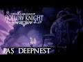 Pas Deepnest - Hollow Knight 112%