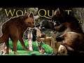 One Halfway LUCKY Wolf!! 🐺 Wolf Quest: Bountiful Wilds • #35