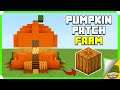 Pumpkin Patch Farm In Minecraft Bedrock (MCPE/Xbox/PS4/Switch/Windows10)