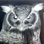Snowi Owl