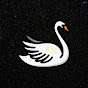 Swan12