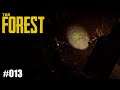 The Forest 013 | LPT | Deutsch