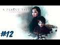 A Plague Tale: Innocence   Gameplay PC  GamePlay  XII.All thad remains