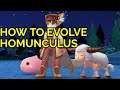 how to evolve homunculus in Ragnarok M: Eternal Love