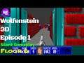 Wolfenstein 3D Episode 1 Floor 6