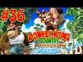 Let's Play Donkey Kong Country: Tropical Freeze (pt36) 5-B Jammin' Jams