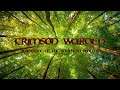 Official Kingdom Quest Crimson Warden (by Kemal Hayal) Launch Trailer (iOS/Android)