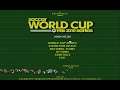 soccer world cup gameplay(1)