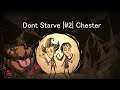 Dont Starve | #2 | Chester