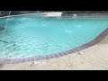 Ivy park Baton Rouge pool national marine birthday