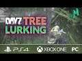 DayZ PvP 🎒 Lurking in the Woods 🎮 PS4 XBOX Official Servers