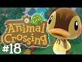 A Path-ful of Planning! | Let's Play Animal Crossing: New Leaf... Again! 🍃 (Episode 18)