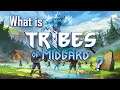What is Tribes of Midgard?
