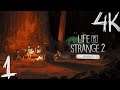 Life Is Strange 2 ‎| Episode 3 "Wastelands" #01 | 4K | XT Mood Play