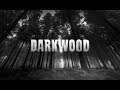 Darkwood 50(G) Fabuła - Podsumowanie