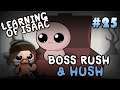 Learning of Isaac #25 - Boss Rush & Hush