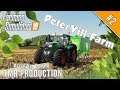 TMR PRODUCTION - Episode 2 | Farming Simulator 19 | Petervill Timelapse | FS19