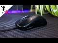 VAXEE ZYGEN NP01-S thoughts and the 2:1 ratio for mouse size
