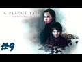 A Plague Tale: Innocence   Gameplay PC  GamePlay  IX. In the Shadow of Rampars