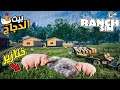 Ranch Simulator - محاكي المُزارع #5: أكبر بيت للدجاج + أخيراً صغار الخنازير