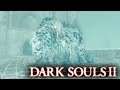 Dark Souls 2 - AAVA, O MASCOTE O REI! #26 (Mago)