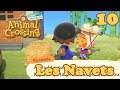 Les Navets - Animal Crossing New Horizons