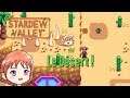 Stardew Valley - Le Désert [Switch]
