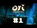 SIMPLY BEAUTIFUL - Ori and the Blind Forest - Ep. 1
