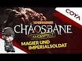 WARHAMMER CHAOSBANE - MAGIER & IMPERIALSOLDAT • Warhammer Chaosbane Multiplayer German, Deutsch
