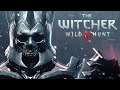 The Witcher 3: Defying Destiny - Finale - Apex Plays