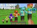 I found ALL KINDS OF ZOMBIES in Minecraft ! WHICH SECRET ZOMBIE IS THE BEST ?
