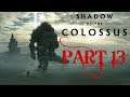 Shadow of the Colossus (Hard) 13th Colossus. No Fruit/Lizard Tails