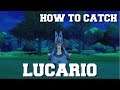HOW TO CATCH LUCARIO IN POKEMON SWORD AND SHIELD GUIDE!