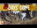 Days Gone | Part 3