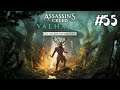 Assassin's Creed Valhalla / DLC La Colère des Druides / Fin de la Quête Principale  / EP55