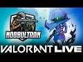 Valorant Live Stream !! Road to 1k Subs !! I m not a Piro but still can manage XD