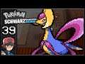 Fast in Nevaio | #39 | 🖤 Pokémon Schwarz Randomizer Nuzlocke!
