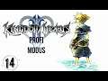 [Let's Stream] Kingdom Hearts 2 [Profi Run/deutsch] 14
