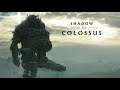 SHADOW OF THE COLOSSUS - 15° COLOSSO