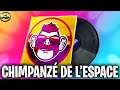 MUSIQUE CHIMPANZÉ DE L'ESPACE FORTNITE SAISON 7, MUSIC SPACE CHIMP LOBBY FORTNITE SEASON 7, PACK